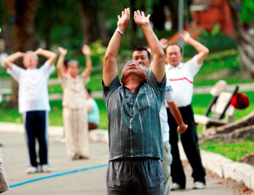 Hình ảnh "lạ" trong công viên ở TPHCM - 10