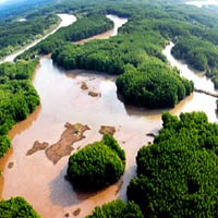 Tài chính - Bất động sản - Việt Nam mất điểm trước nhà đầu tư ngoại