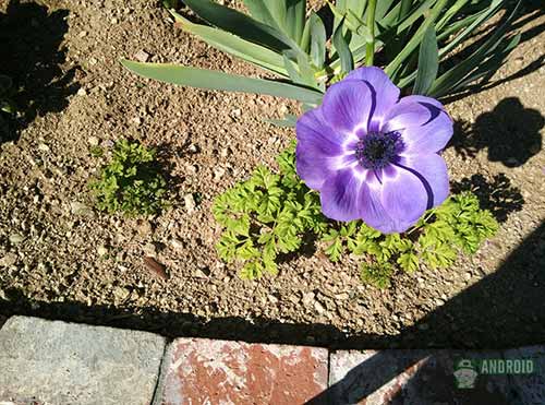 Ấn tượng khả năng quay video của Find 5 - 2