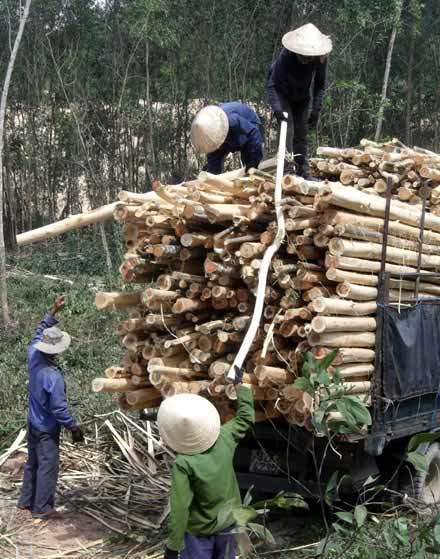 Cuộc chiến keo-người: Nước mắt sơn tràng - 2