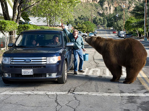 Trailer phim: We Bought a Zoo - 3