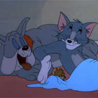 Cười 24h - Video funny TOM &amp; JERRY: Sống thử cùng nhau