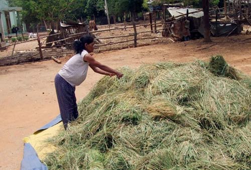 Tới làng có nhiều người chết vì rượu độc - 2