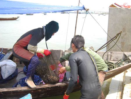 Mưu sinh dưới đáy sông Hàn - 2