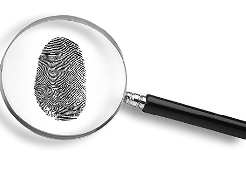 Luật sư đi làm thám tử: Những pha bi hài - 2