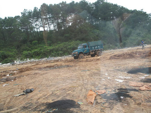 Gà Trung Quốc giá... 3.600 đồng/kg - 2