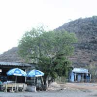 Tin tức trong ngày - Ông già trăm tuổi "đốt vàng" tìm vàng