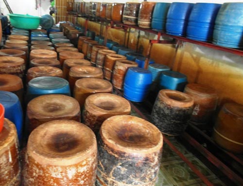 Bắt 2 "lò" sản xuất giá đỗ bằng hóa chất - 3