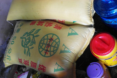 Bắt 2 "lò" sản xuất giá đỗ bằng hóa chất - 2