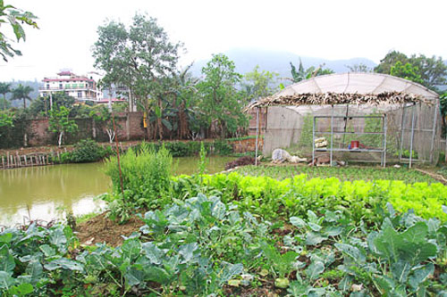 Biệt thự triệu đô gây tranh cãi của Mỹ Linh - 2