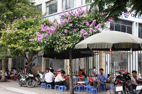 Hà Nội tím ngắt sắc bằng lăng - 4