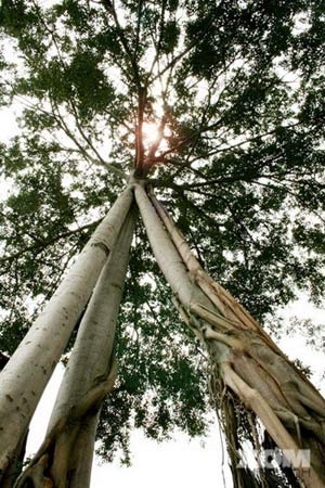 10 điểm picnic dưới 200.000 ở Đồng Nai - 4