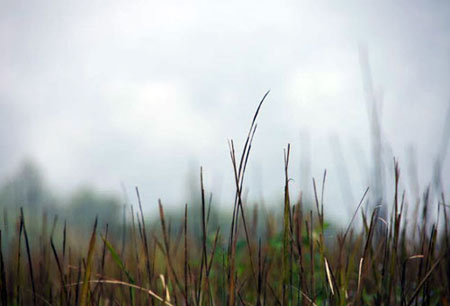 10 điểm picnic dưới 200.000 ở Đồng Nai - 6