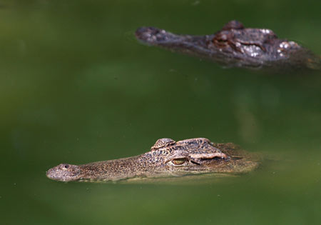 10 điểm picnic dưới 200.000 ở Đồng Nai - 11