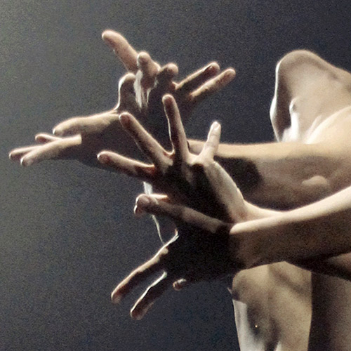 MV xúc động về sinh linh bị ruồng bỏ - 9