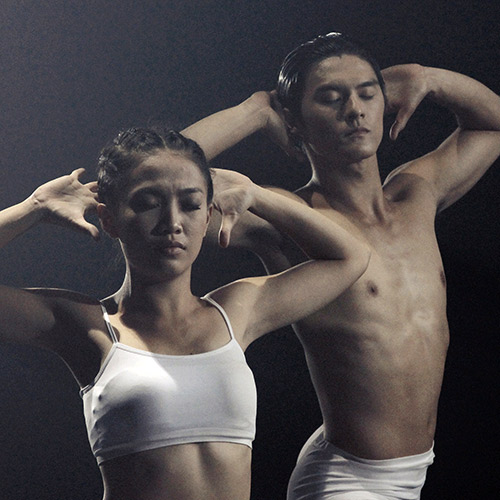 MV xúc động về sinh linh bị ruồng bỏ - 7