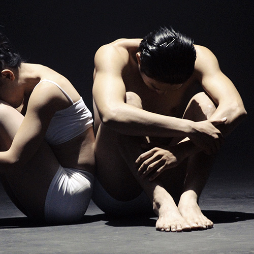 MV xúc động về sinh linh bị ruồng bỏ - 5