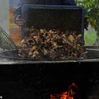 Tin tức trong ngày - TQ: Kinh dị gà con bị bỏ vào "vạc dầu"