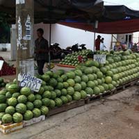 Thị trường - Tiêu dùng - Nông sản đồng loạt mất giá