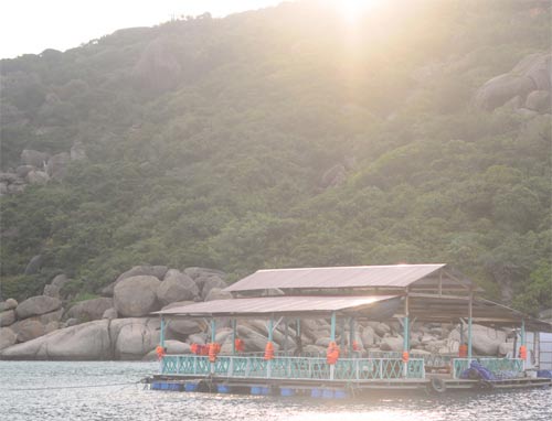 Về đảo Bình Ba hoang sơ tuyệt đẹp - 3