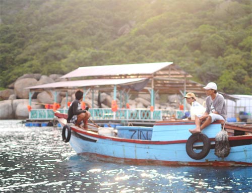 Về đảo Bình Ba hoang sơ tuyệt đẹp - 5