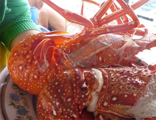 Về đảo Bình Ba hoang sơ tuyệt đẹp - 6