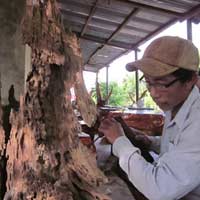 Thị trường - Tiêu dùng - Làm giàu từ ... 'đồ bỏ đi'