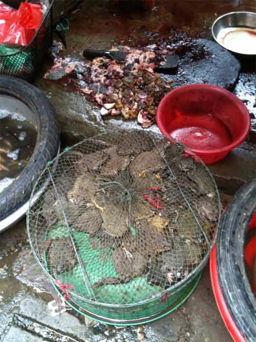 Thực phẩm TQ liên tục 'gây bão' - 2