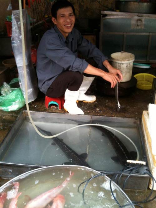 Thực phẩm TQ liên tục 'gây bão' - 3