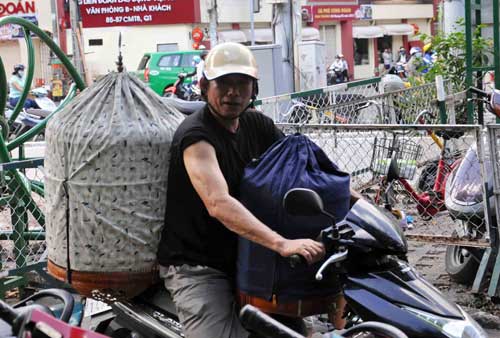 Cà phê chim, thú vui người Sài thành - 8