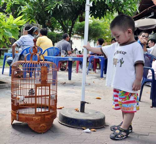 Cà phê chim, thú vui người Sài thành - 9