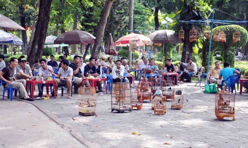 Cà phê chim, thú vui người Sài thành - 11