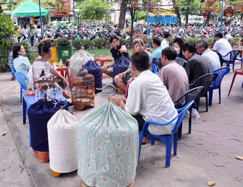 Cà phê chim, thú vui người Sài thành - 2