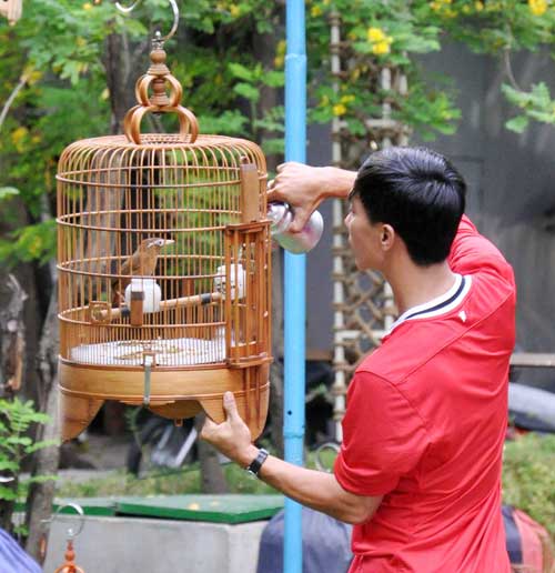 Cà phê chim, thú vui người Sài thành - 4