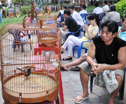 Cà phê chim, thú vui người Sài thành - 6