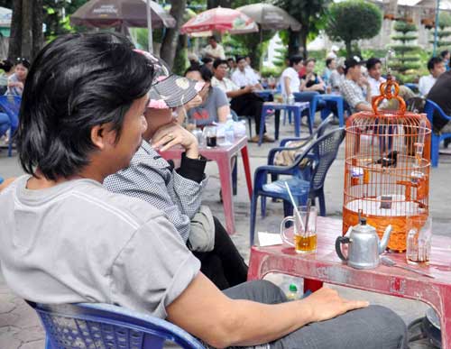 Cà phê chim, thú vui người Sài thành - 7