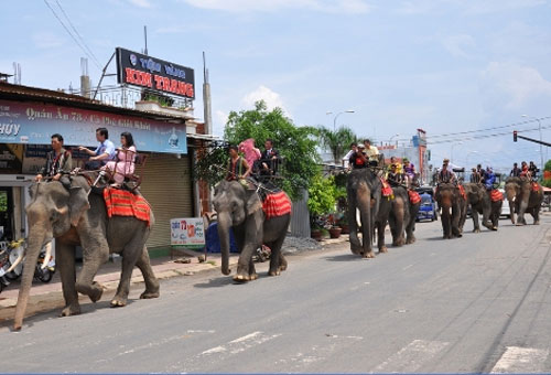 Đám cưới rước dâu bằng... 20 con voi - 2