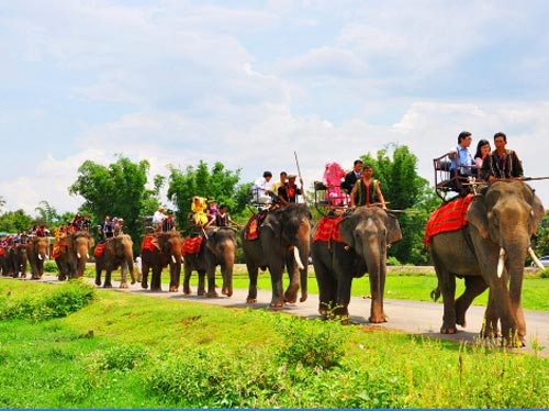Đám cưới rước dâu bằng... 20 con voi - 4