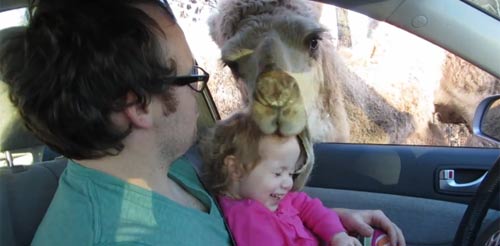 Top clip hài: Đã không được lại còn bị - 5