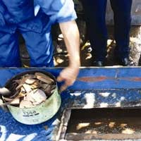 Tin tức trong ngày - "Đinh tặc" uy hiếp sân bay: Chỉ có 1 xe