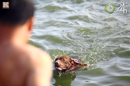 Người Thủ đô tắm Hồ Tây “giải nhiệt” - 2