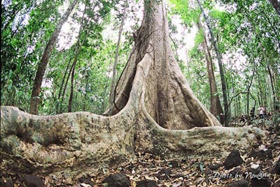10 điểm picnic giá rẻ tại Đồng Nai (P2) - 4