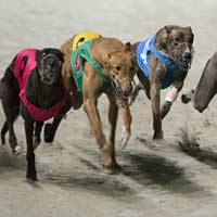 Tin tức trong ngày - Cá cược hợp pháp khác gì đánh bạc?