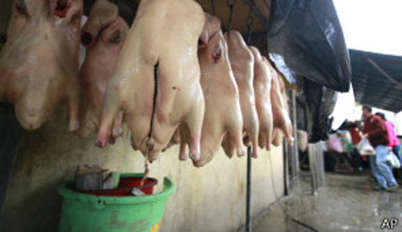 Ám ảnh.... đồ ăn bẩn - 2