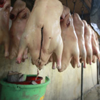 Sức khỏe đời sống - Ám ảnh.... đồ ăn bẩn