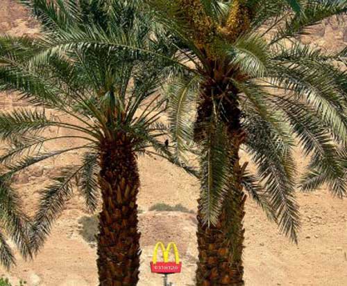 Nơi đặt cửa hàng cực lạ của McDonald's - 6