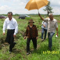 Pháp luật - Nguyên ủy viên BCH TW Đảng thực địa "kỳ án vườn mít"