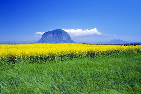 Thiên đường tình yêu Hàn Quốc làm thổn thức triệu trái tim - 6