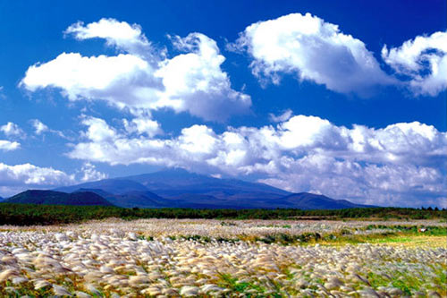 Thiên đường tình yêu Hàn Quốc làm thổn thức triệu trái tim - 2