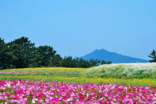 Thiên đường tình yêu Hàn Quốc làm thổn thức triệu trái tim - 3